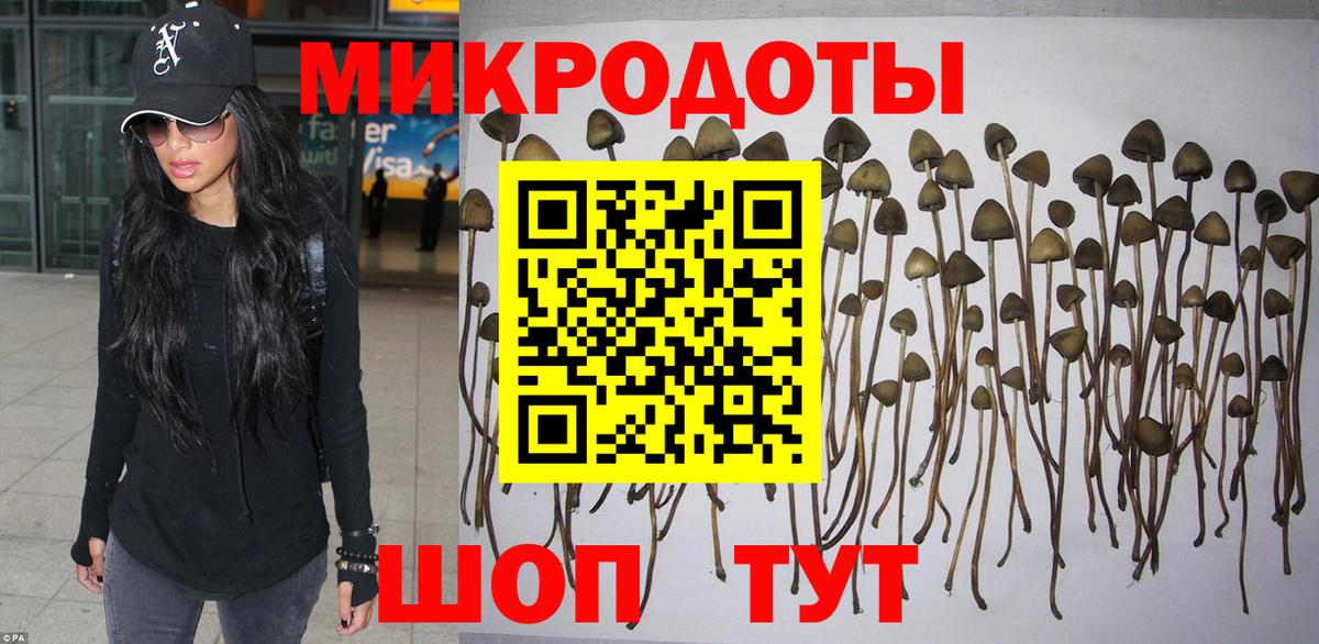 Псилоцибиновые грибы мицелий  Вход с VPN  Рубцовск 